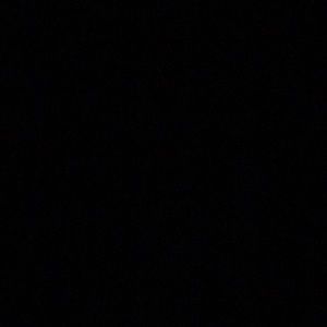 Meet your Posher, Bob